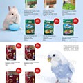 animais eci 28 maio a 11 junho p10.jpg